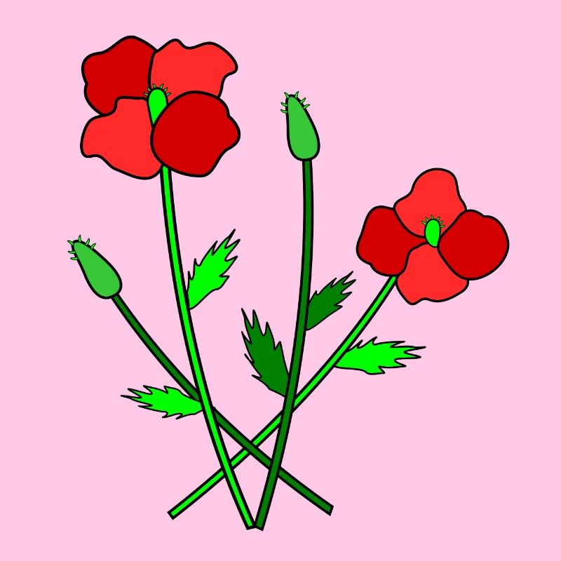 Coquelicots en fleurs