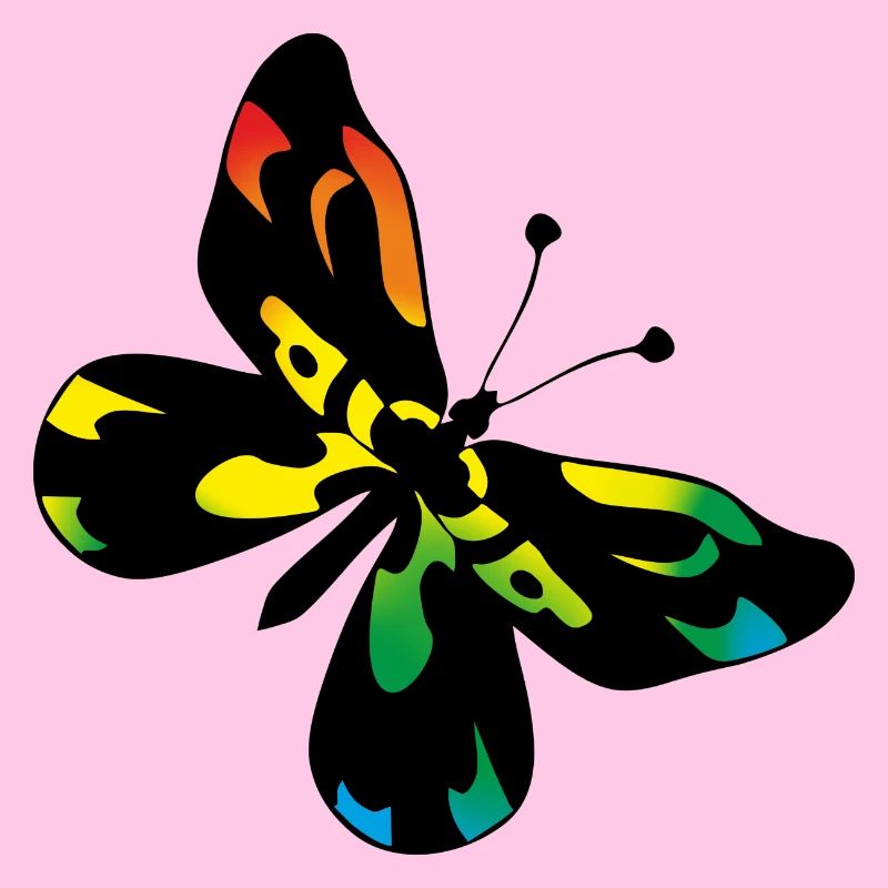 Papillon