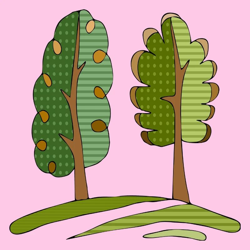 Baum