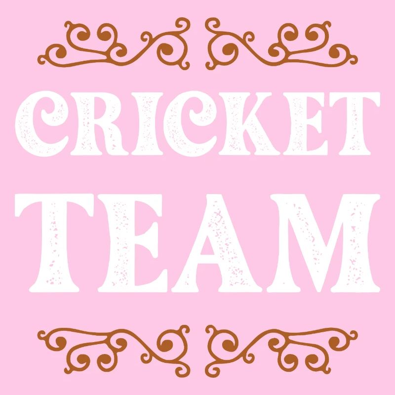 Équipe de cricket