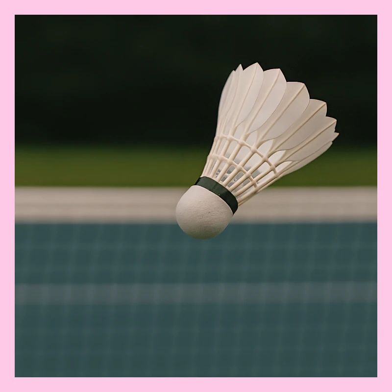 Sportarten - Badminton