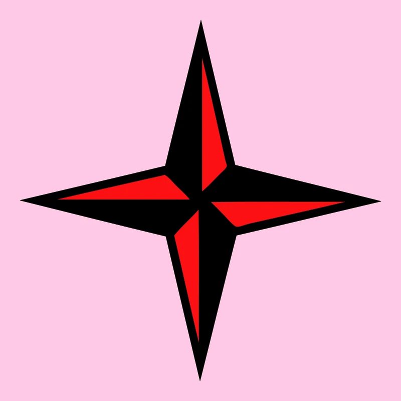 Rose de vent, vent, rose, compas, le nord, le sud,