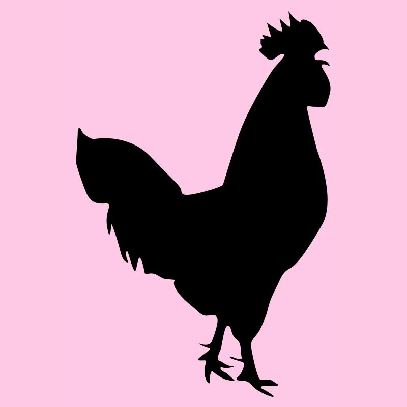 hahn silhouette design