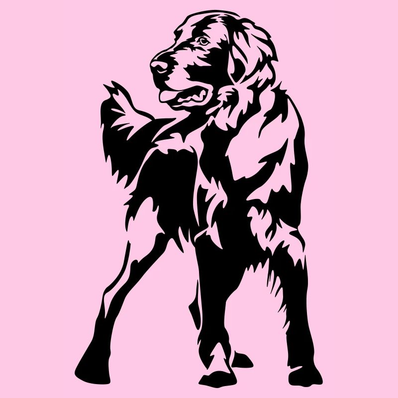 Flat-coated Retriever