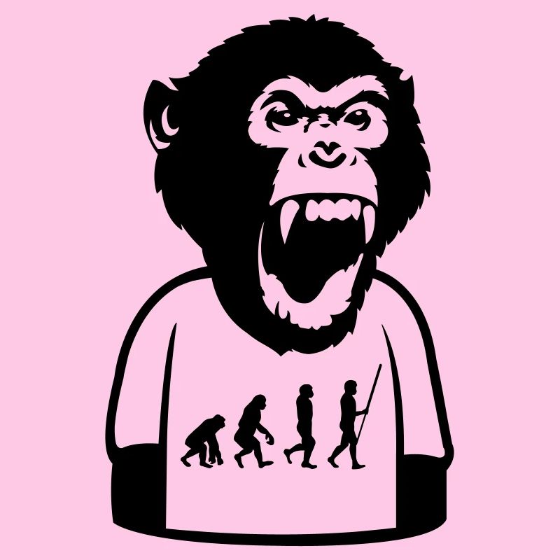 Monkey Evolution