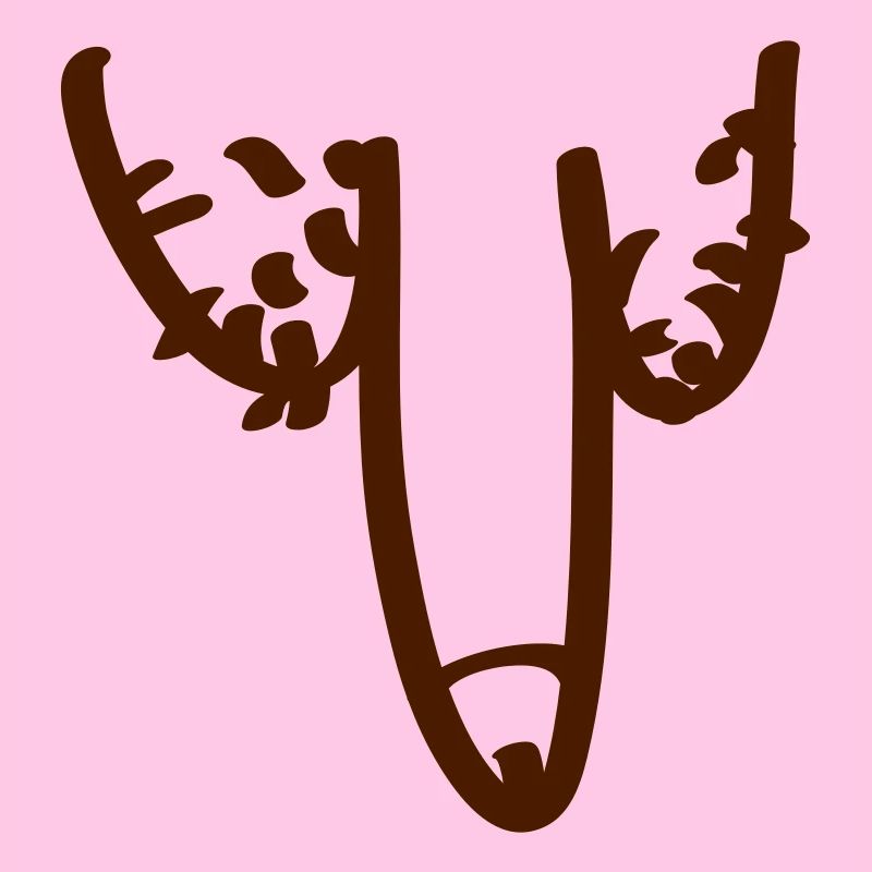 penis