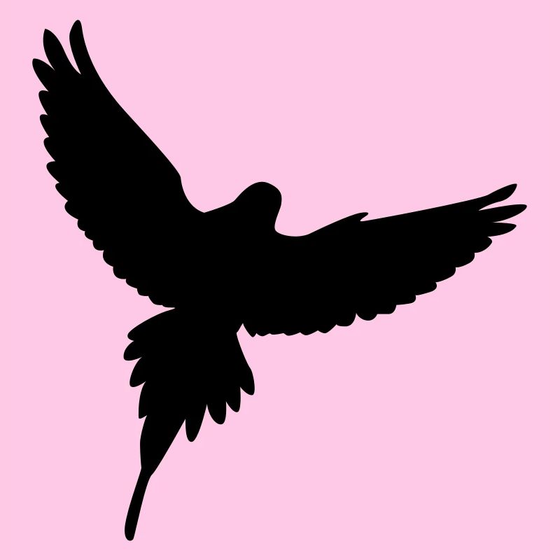 Colombe