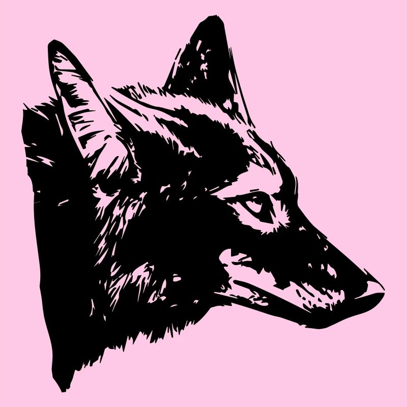 coyote