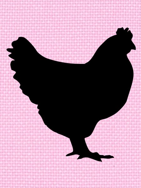 poulet