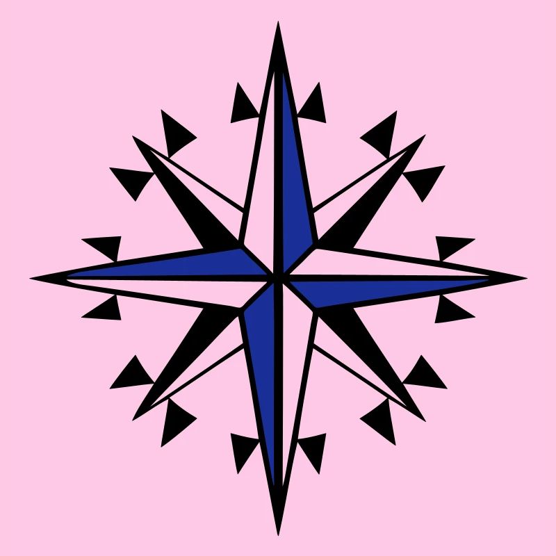 compass, compass, wind rose
