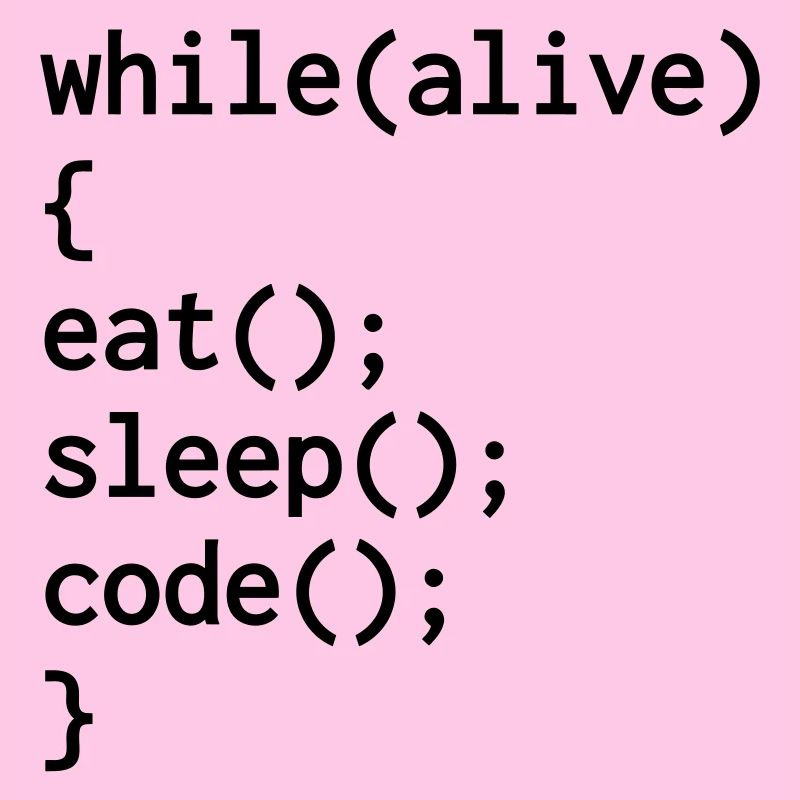 Entwickler / Informatiker / Programmierer /