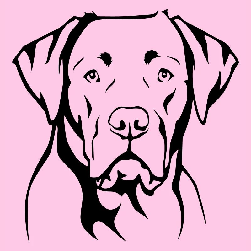 Labrador
