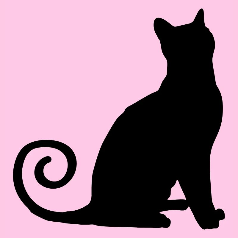 Silhouette de chat