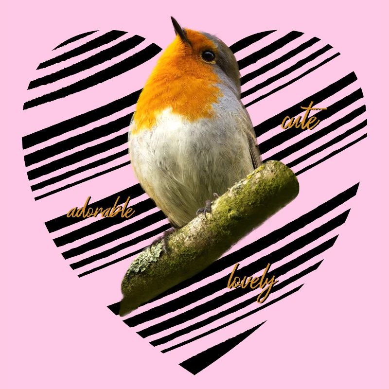 Rotkehlchen Singvogel