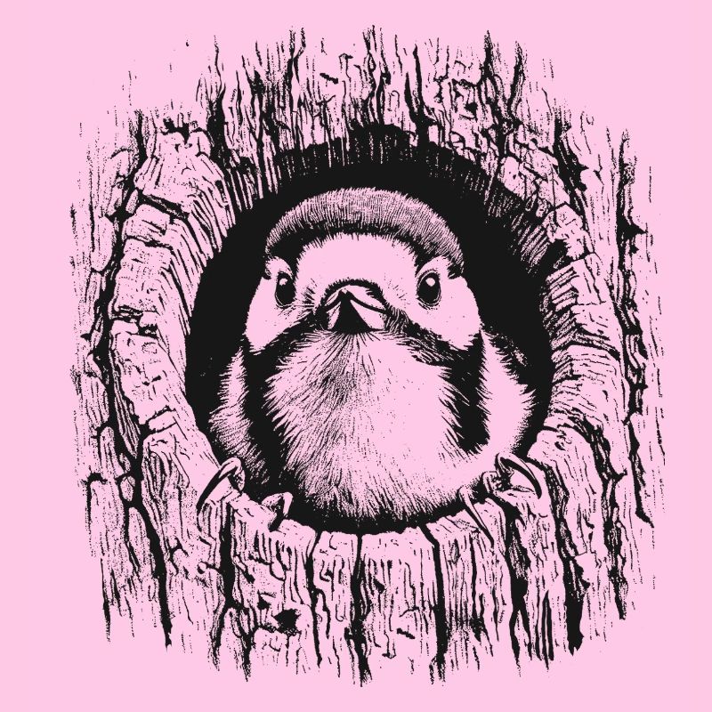 Pic épeiche