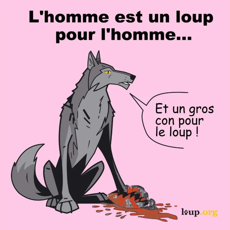 wolfman