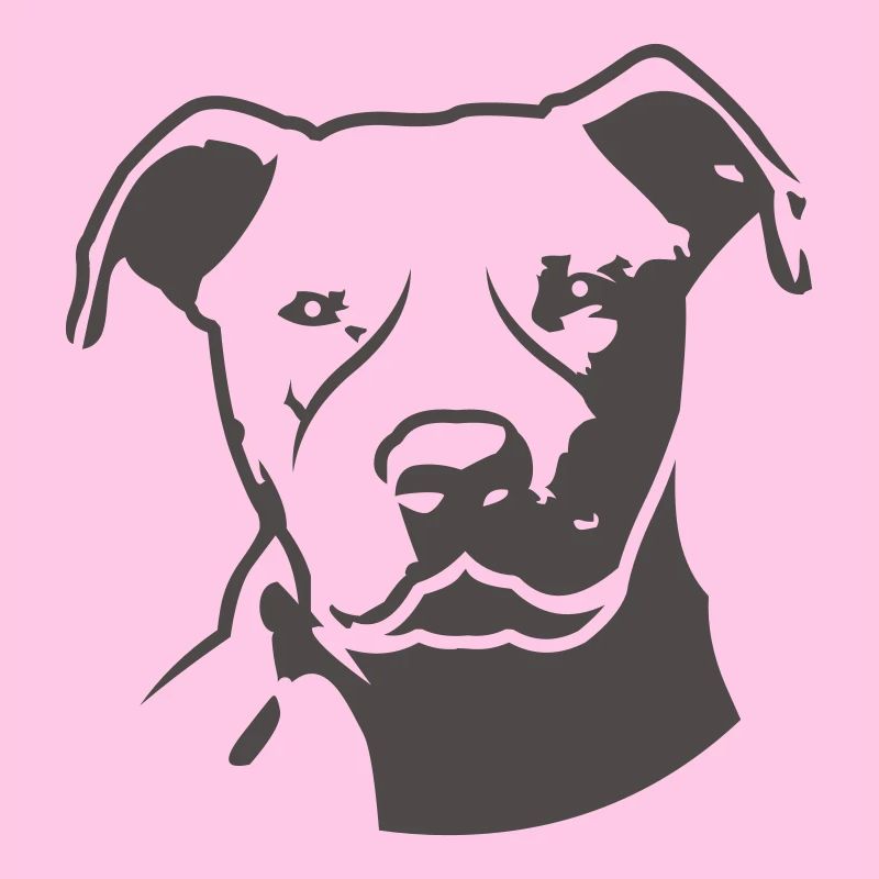 pitbull_head_front