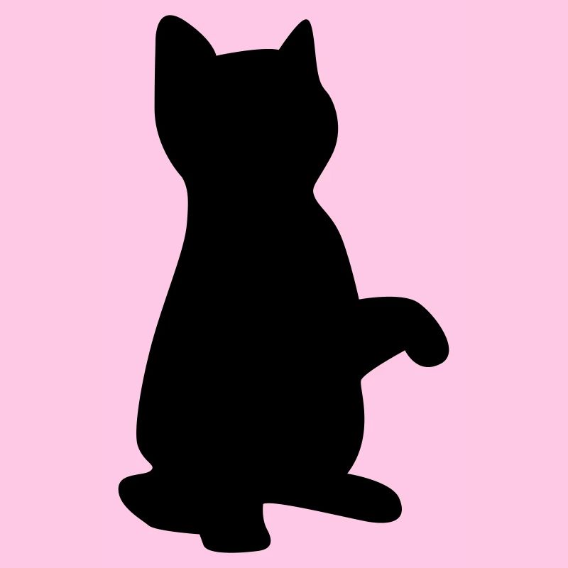 cat kitten