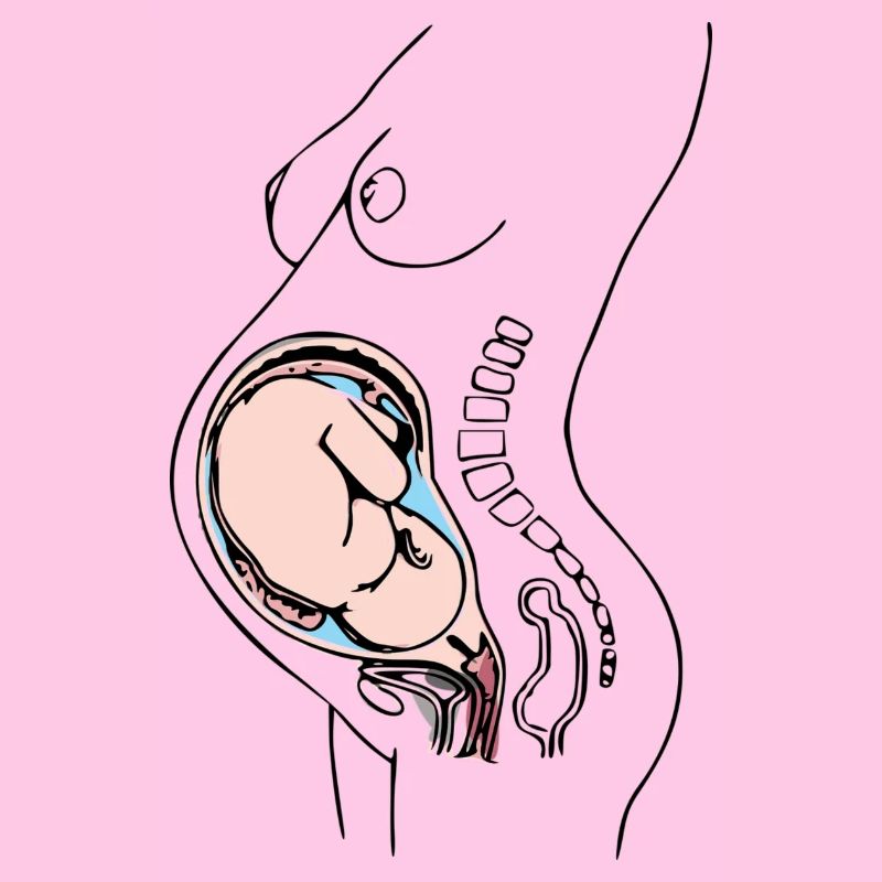 enceinte