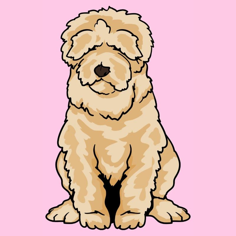 Labradoodle Goldendoodle Doodle Dog