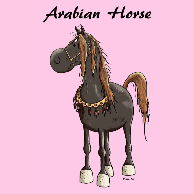Cheval Arabe Mignon - Chevaux