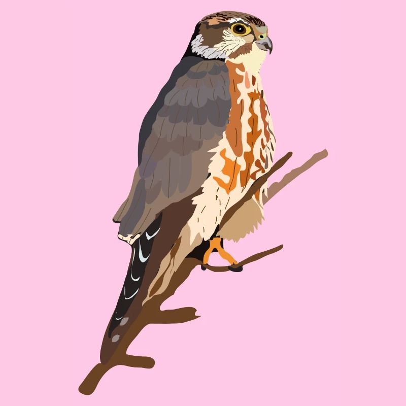 Merlin
