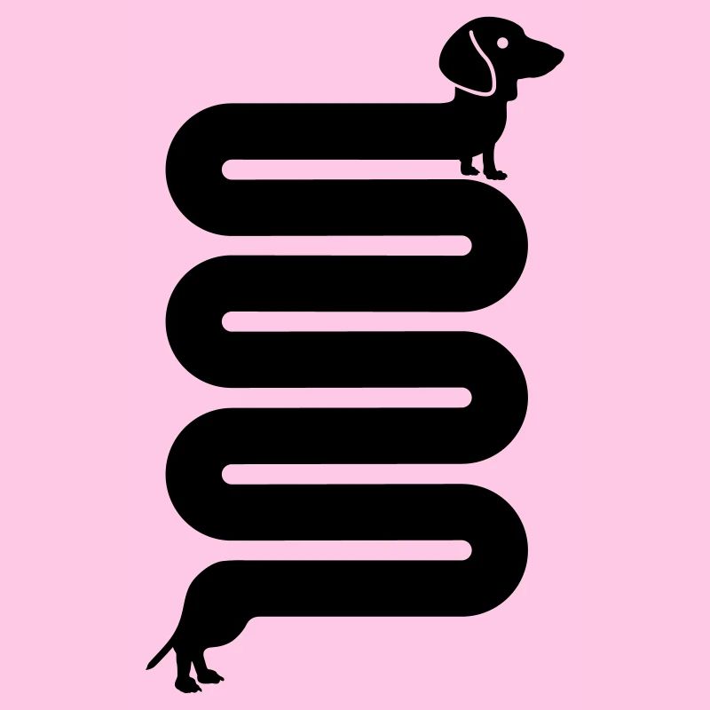 sausage dog