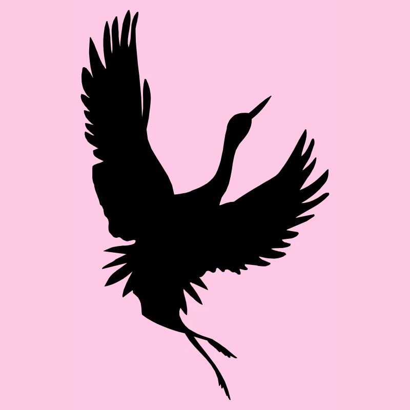 Crane shadow figure