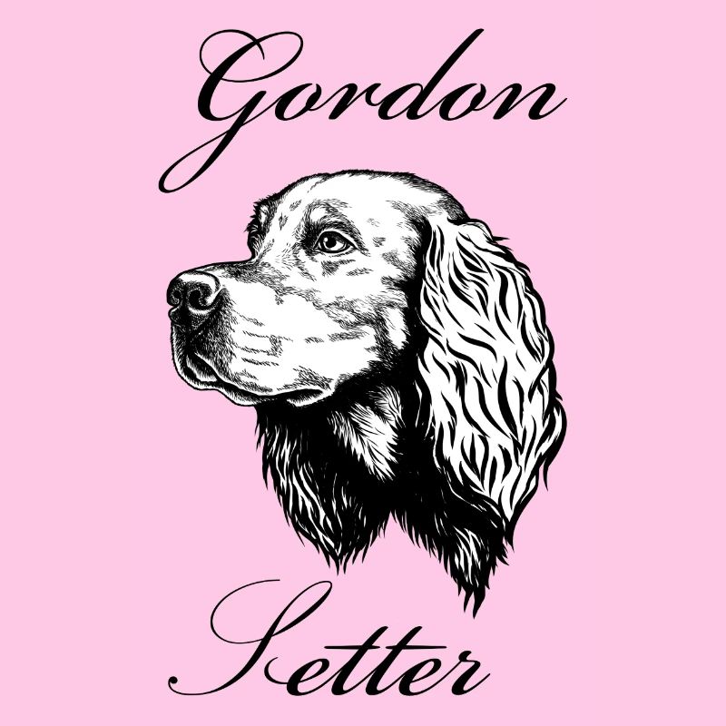 Gordon Setter Portrait