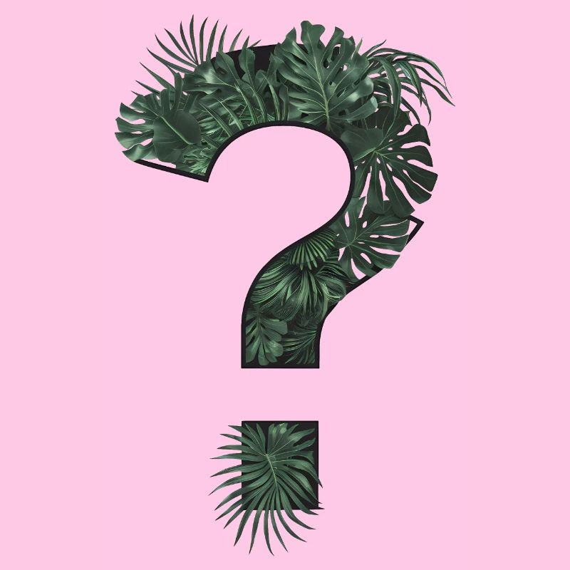 Question mark tropical plants