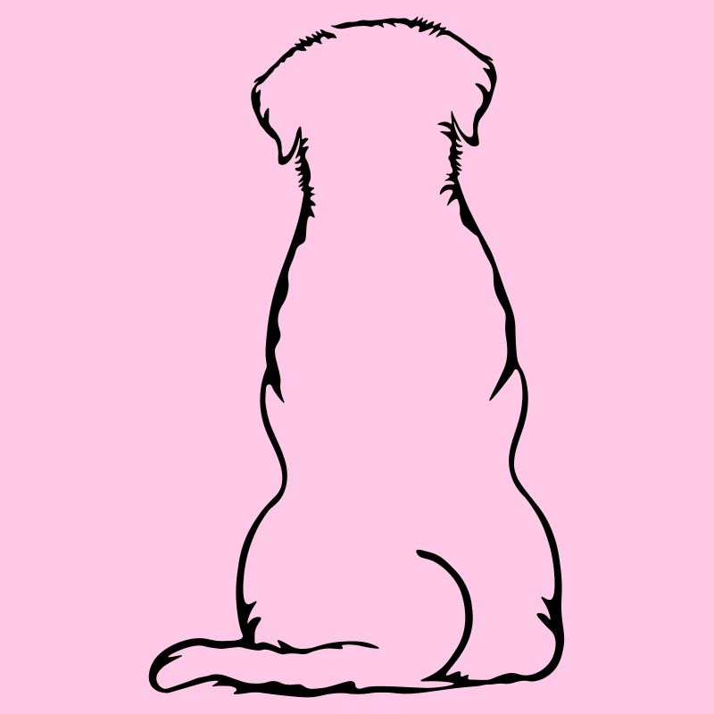 Labbi_sitzend_Back