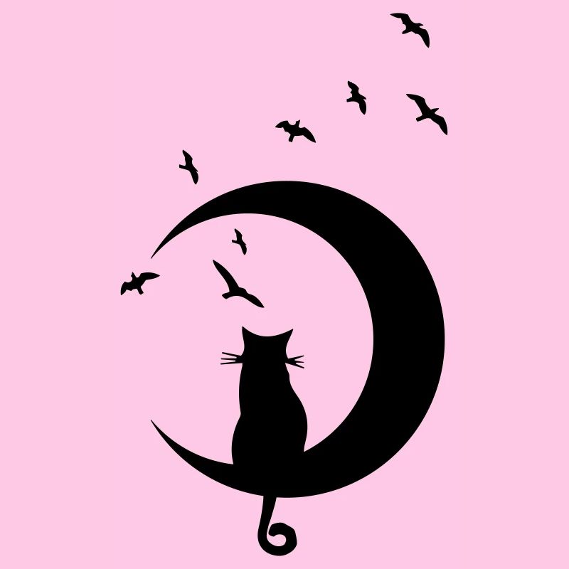 CAT ON MOON