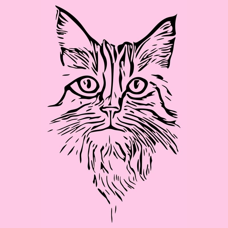 Cat - vector