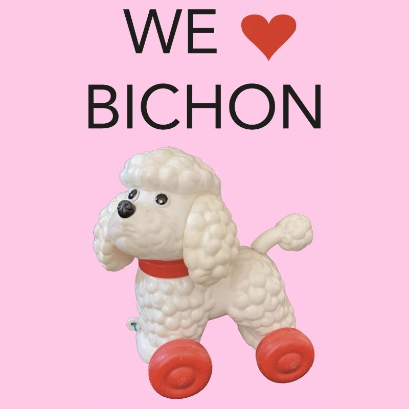 Wir lieben Bichon