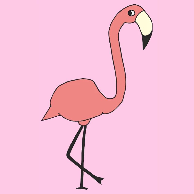 flamingo