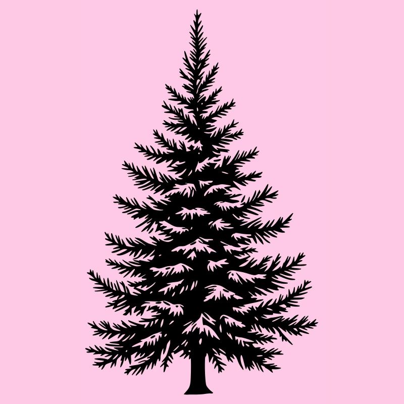 Tree Spruce Fir Conifer Vector