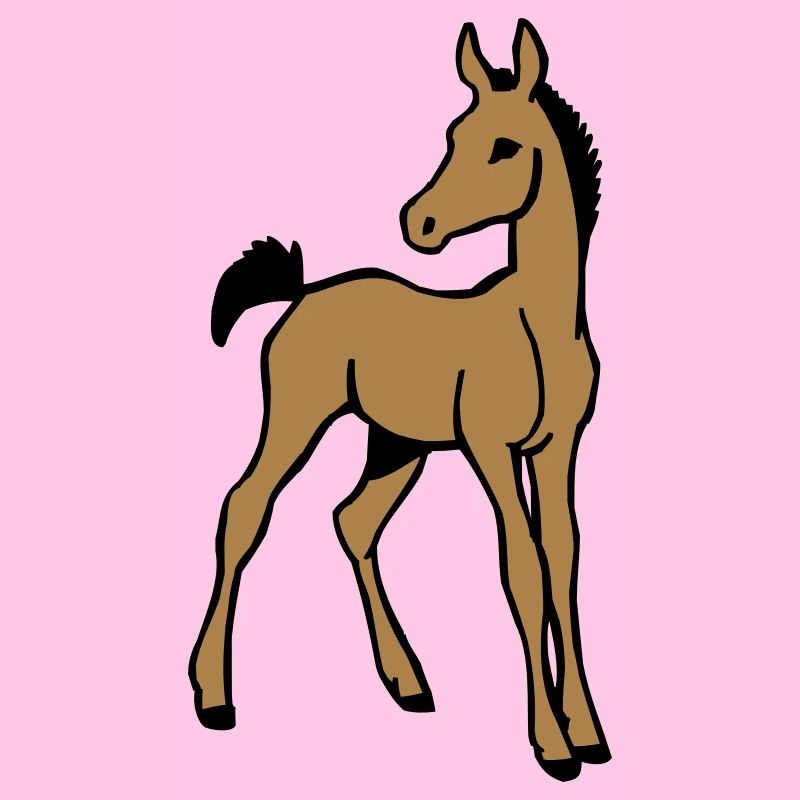 Fohlen
