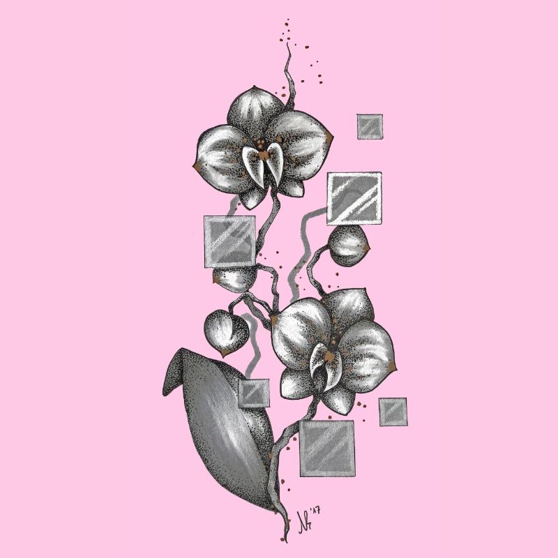 Orchidee