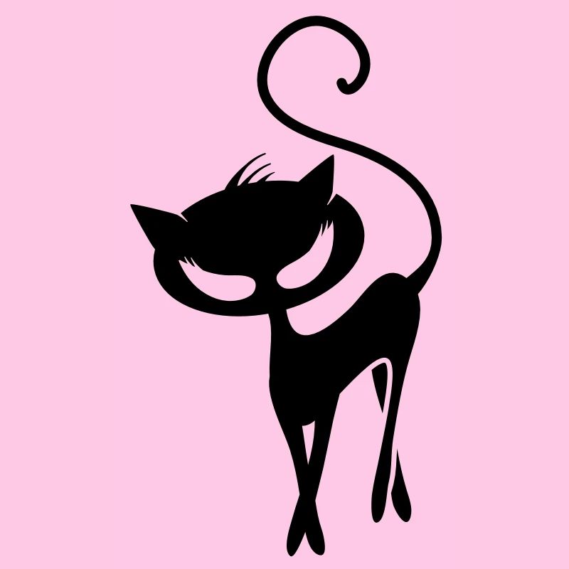 Un chat noir