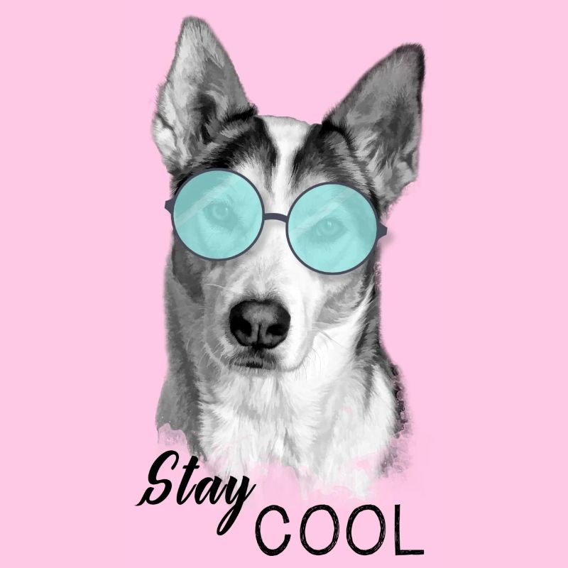 Hund - Stay Cool