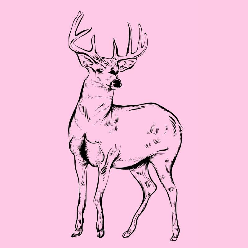 Hirsch