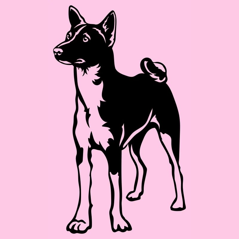 Basenji