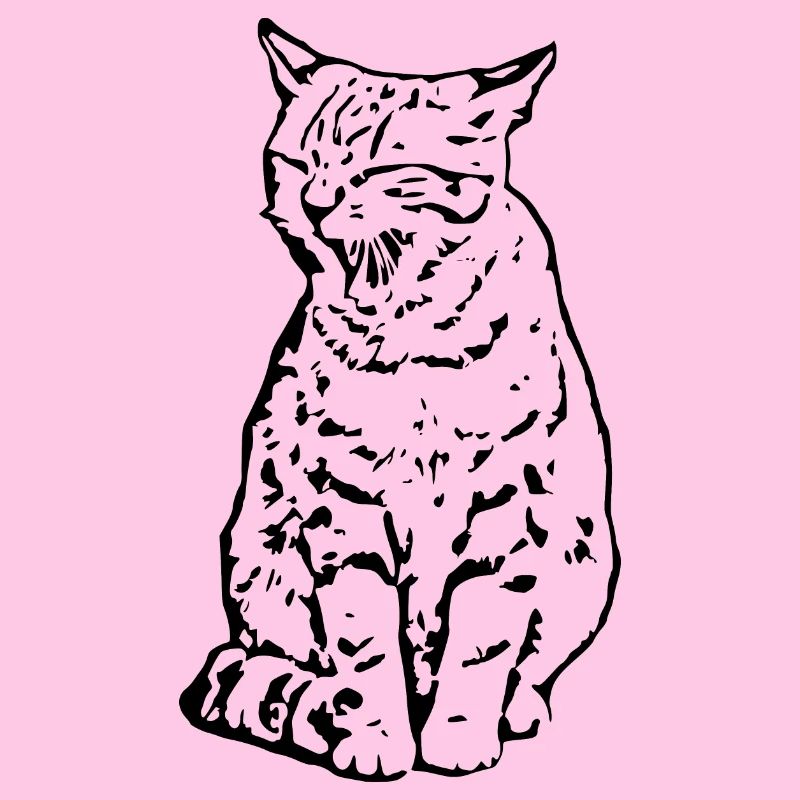 chat noir chat chaton doux cadeau de Noël