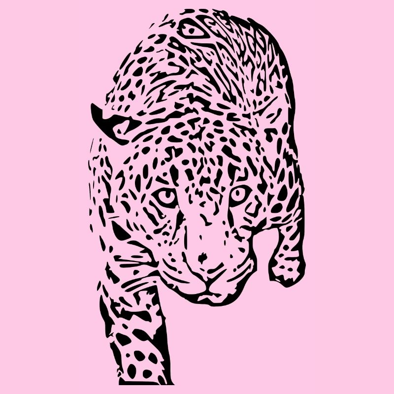 leopard schwarz schwarzer Leopard
