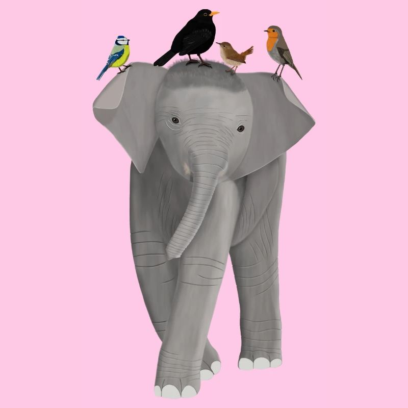 Elephant, Blackbird, Robin, Blue, Wren