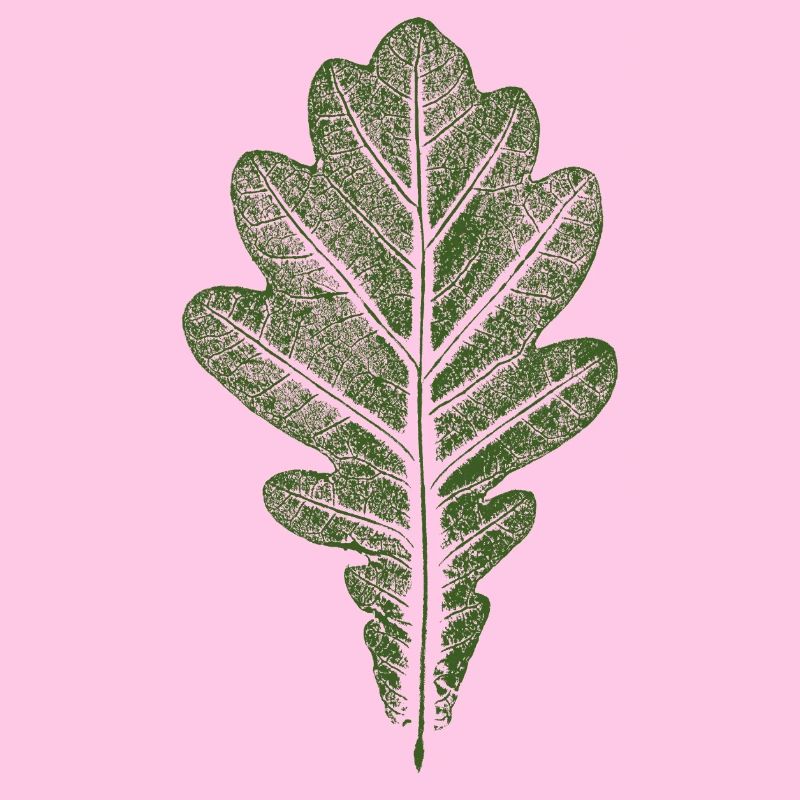 Blatt Eiche - Eichenblatt / Natur & Wald Design