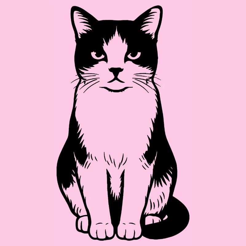 Chat