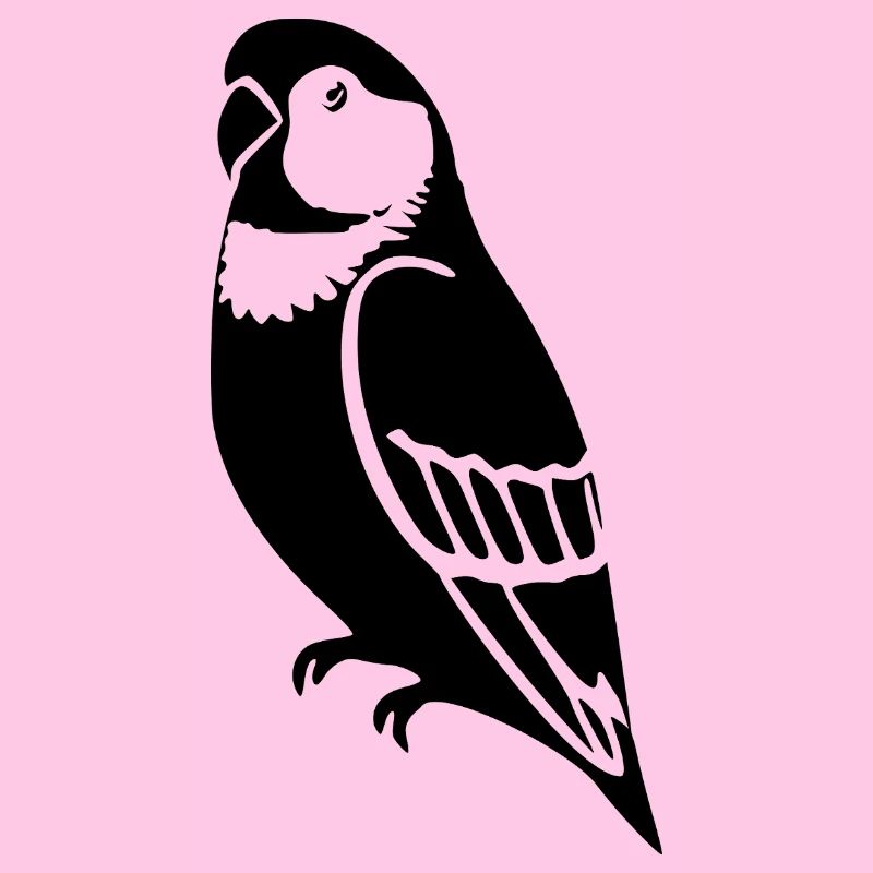 Perroquets Oiseau Geshenk