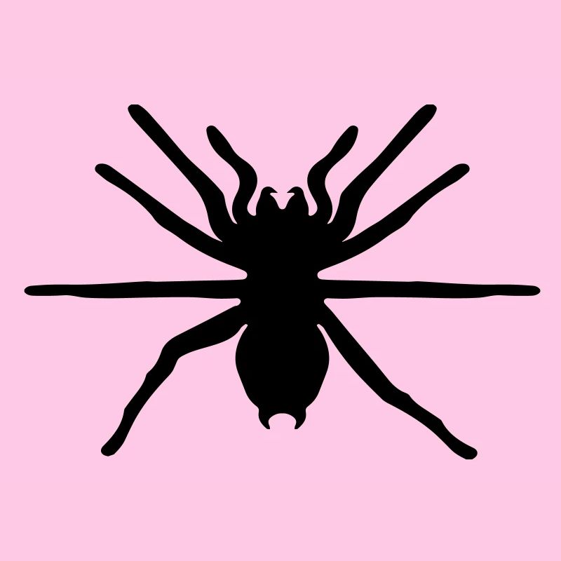 spinne