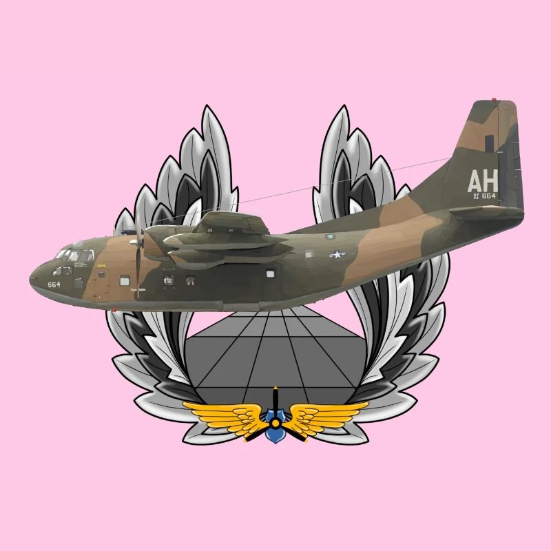 C-123 Provider